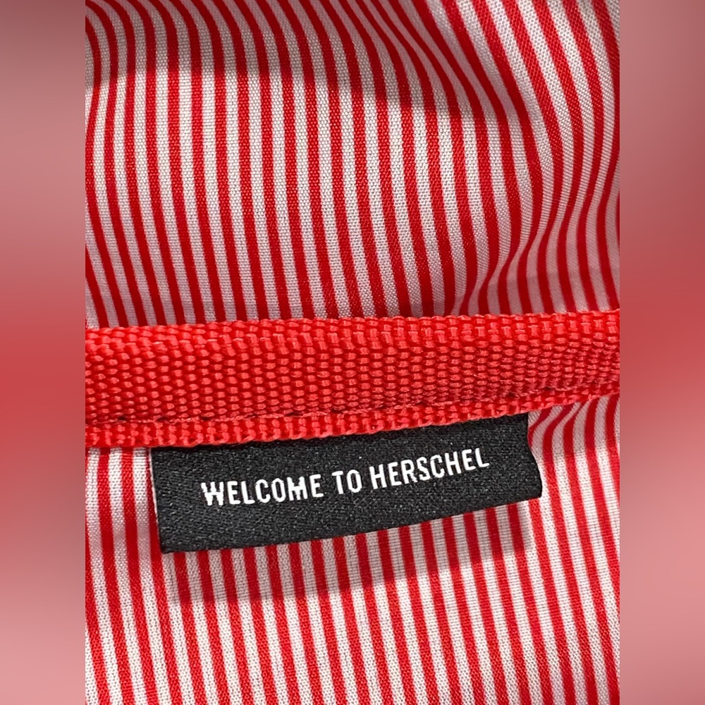 The Herschel Supply Co. Pop Quiz Fanny Pack/Belt Bag, 100% Recycled Body - Picture 5 of 12